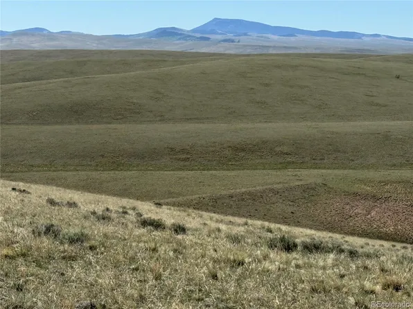 96 Angus Circle LOT 990, Hartsel, CO 80449