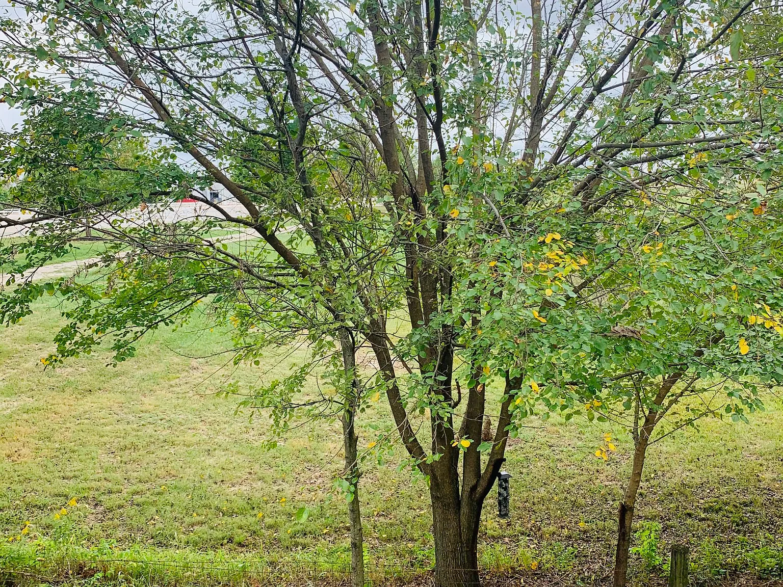 2 bed, 1110 sqft, $1,475 — Photo 3