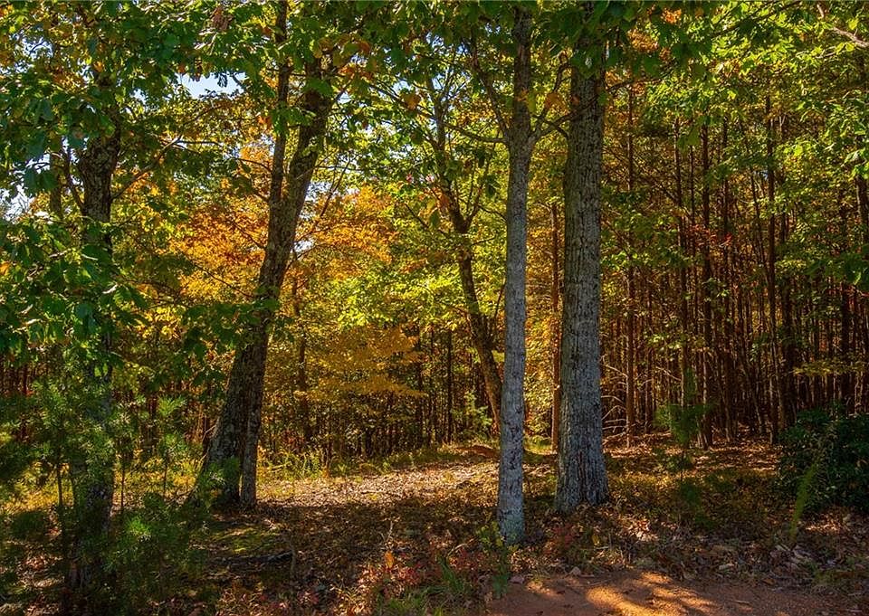 1st image of 0 Timber Rock Dr Lot 137