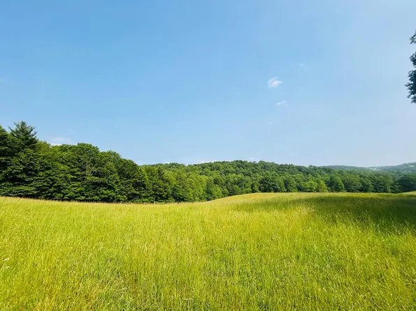 LOT Shady Grove Rd NW #89, Willis, VA 24380