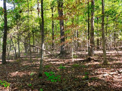 138 Rack Rd, Bon Aqua, TN, 37025