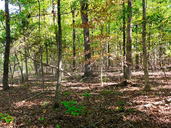 138 Rack Rd, Bon Aqua, TN 37025