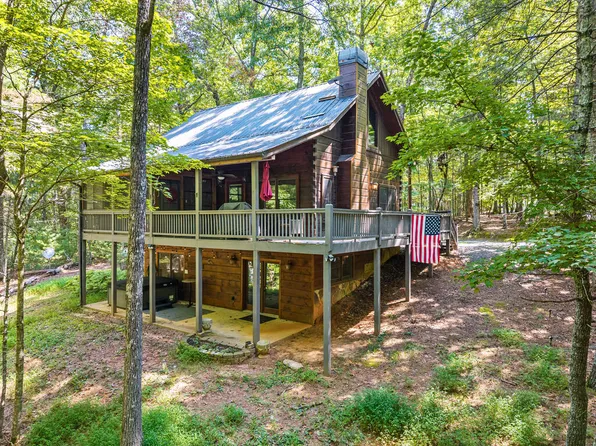 63 Bushy Head Rd, Cherry Log, GA 30522