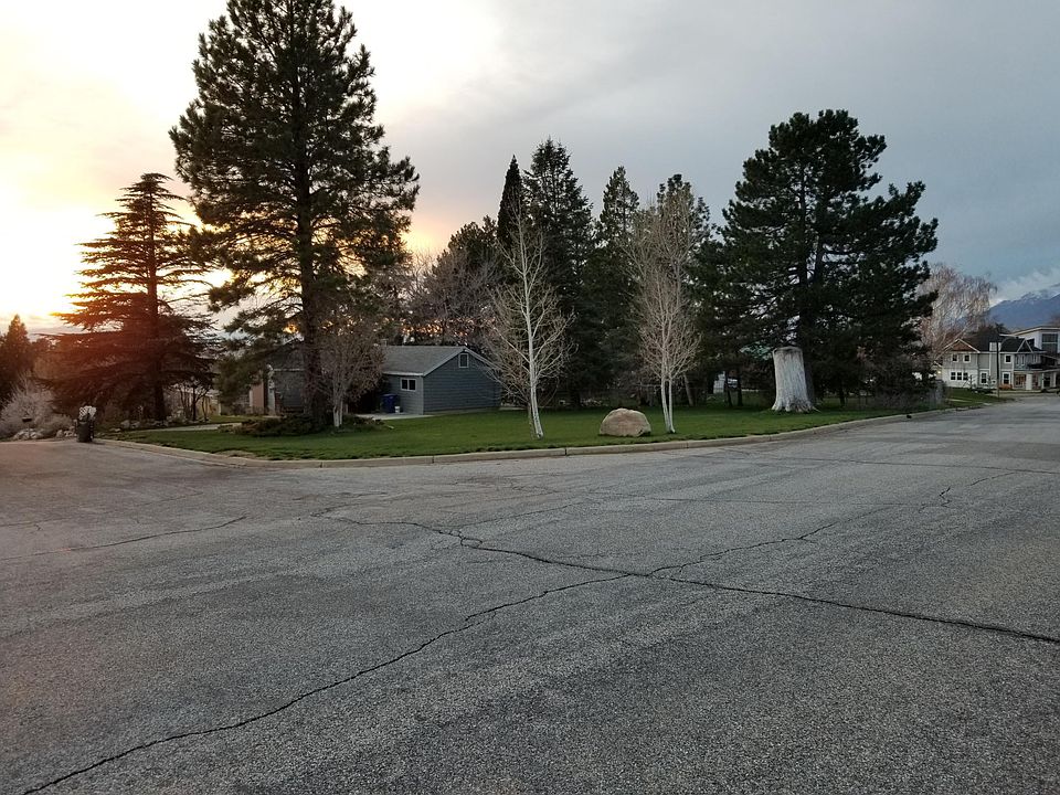 Yard facing NW