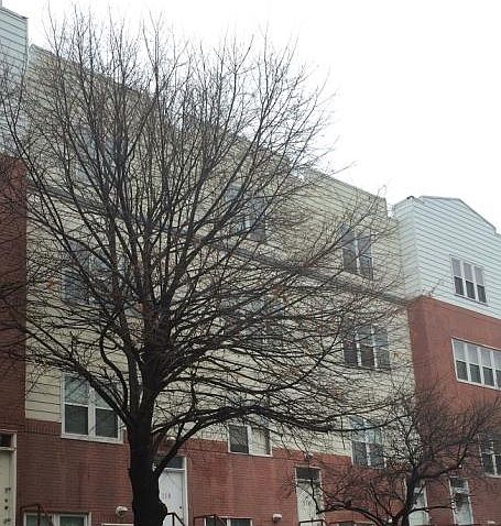 1st image of 118 Neptune Ln #15118
