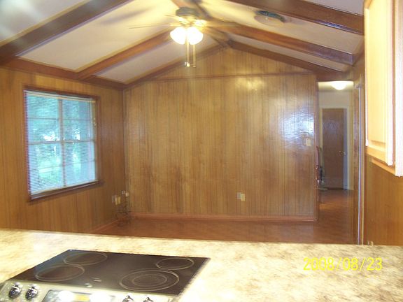 Den with Vaulted Ceiling