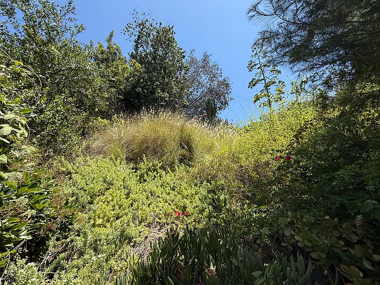 4955 Baja Ct — Photo 12
