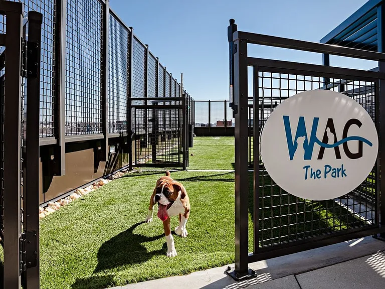 WAG Pet Park