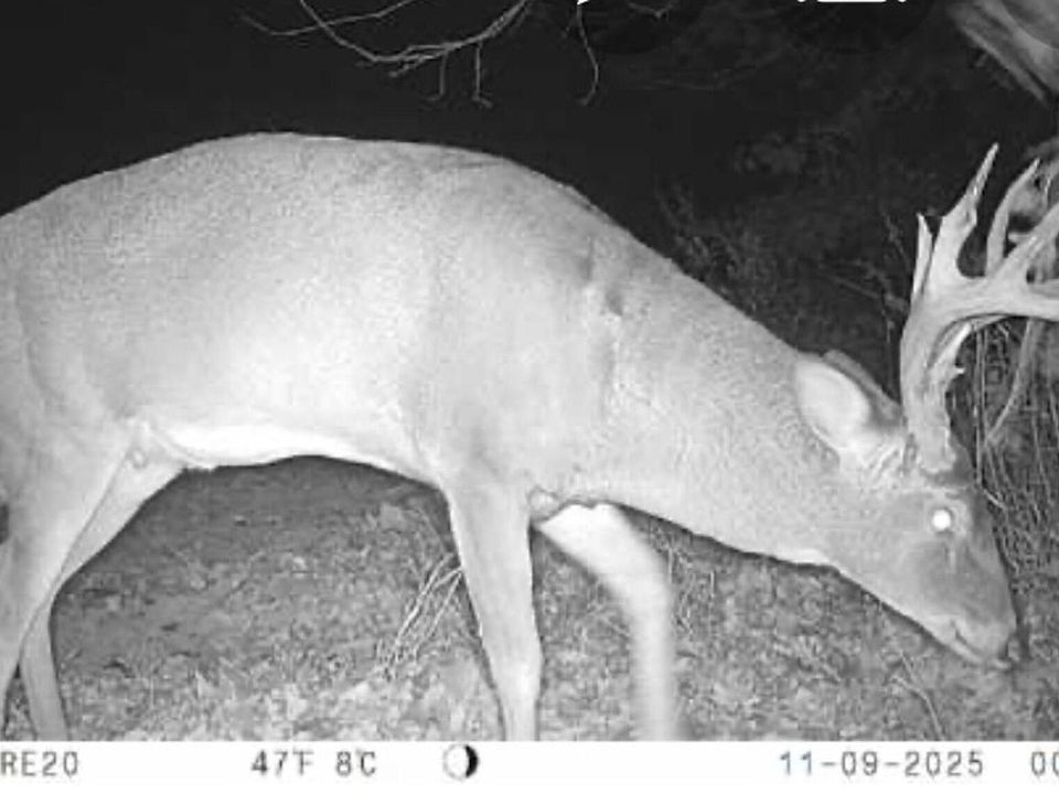 1st image of 0 County Road 1825 E
