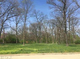Briar Dr LOT 1, Bloomington, IL 61705