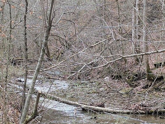 2nd image of 456 Arnetts Fork Rd