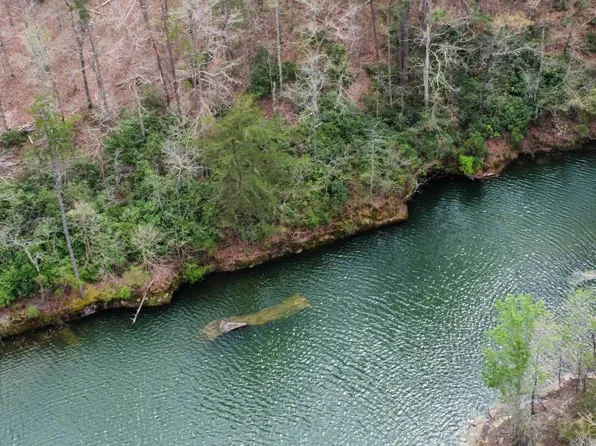 5 Winding Creek Ln, Arley, AL 35541