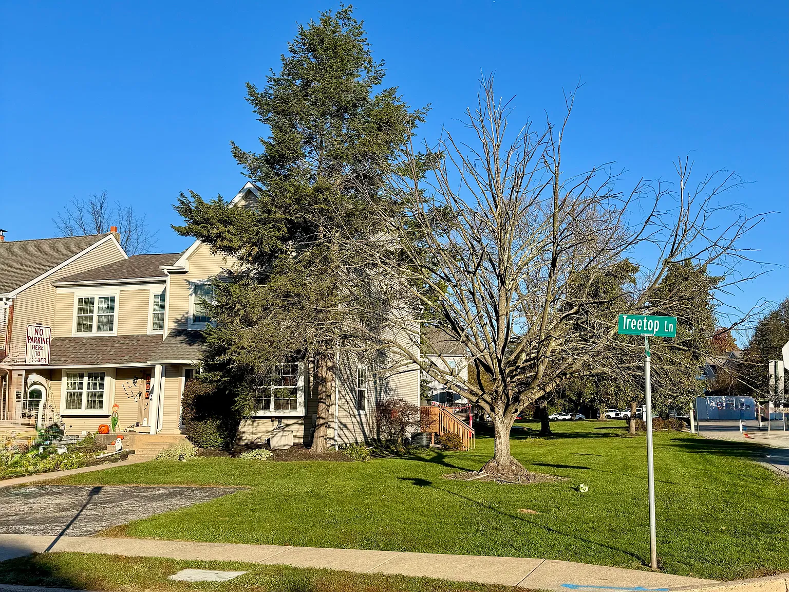 2 bed, 1.5 bath, 1280 sqft, $2,250 — Photo 3