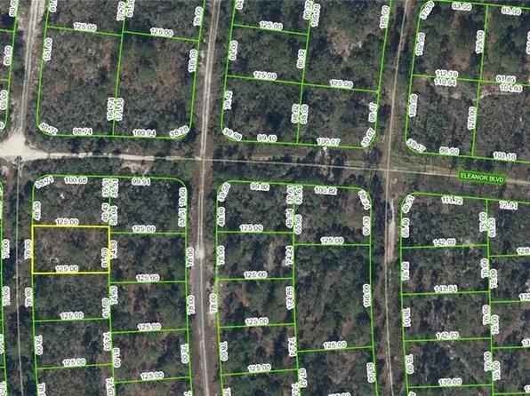 281 Rainbow Dr, Lake Placid, FL 33852