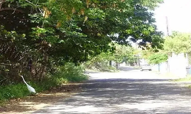 1/2 Paseo De Pesca — Photo 20