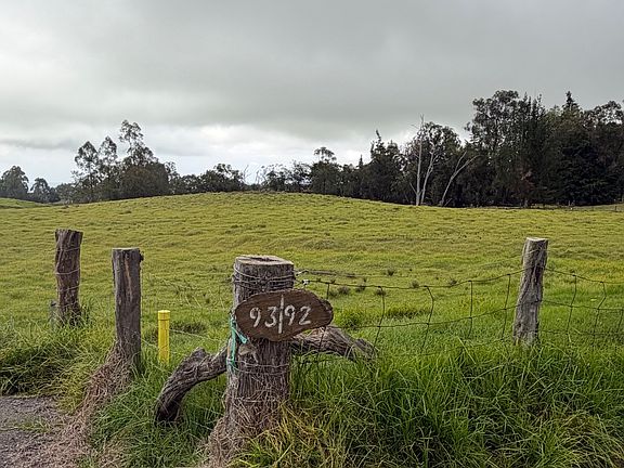 2nd image of LOT 92 Lot 92
