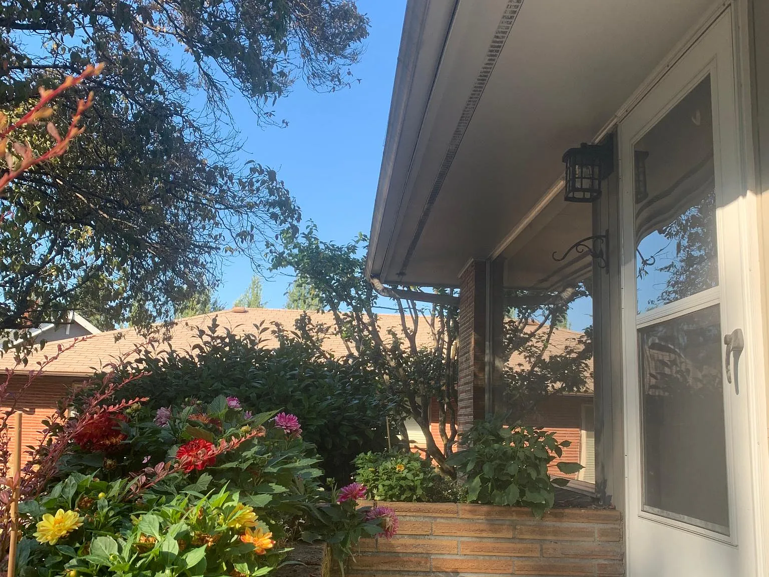 2 bed, 885 sqft, $1,900 — Photo 3