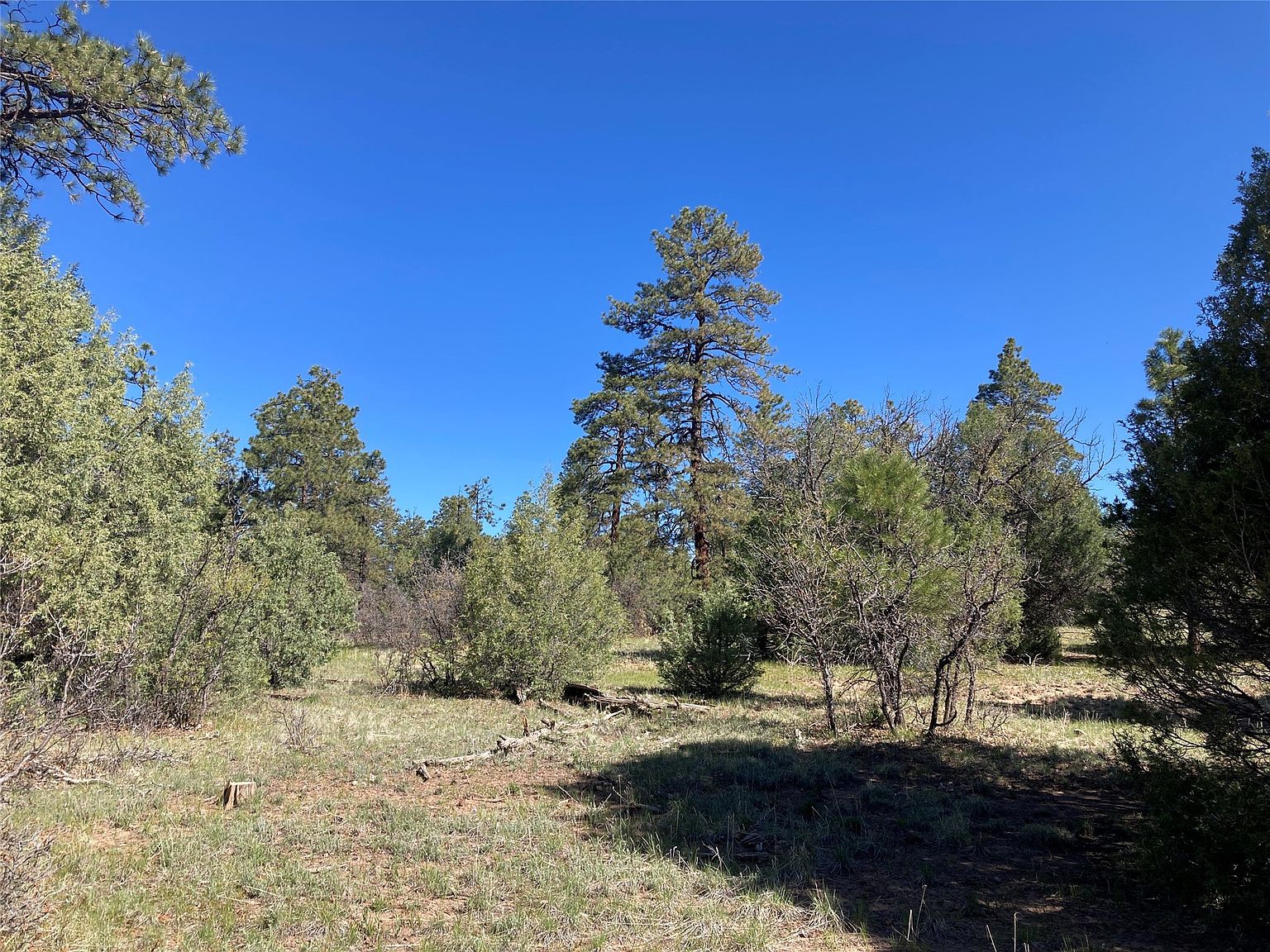 Rim Drive Lots 70 &71, Los Ojos, NM 87551 MLS 202401916 Zillow