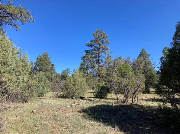 Rim Drive Lots 70 #&-71, Los Ojos, NM 87551