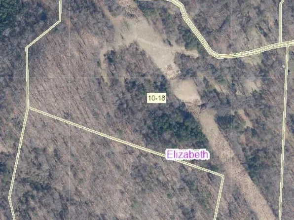 645 Cecil Coe Rd, Palestine, WV 26160