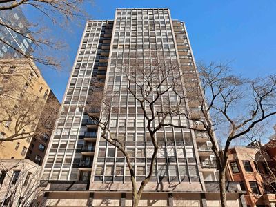 30 E Elm St APT 11F, Chicago, IL, 60611