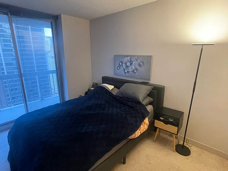 222 N Columbus Dr #2907 — Photo 14