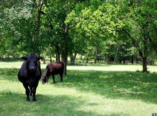 6100 Fm 314, Ben Wheeler, TX 75754