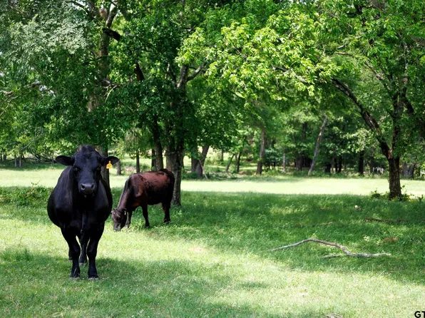 6100 Fm 314, Ben Wheeler, TX 75754