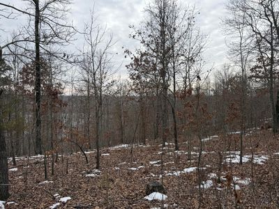 000 N Bergmann'S Hollow Lane N, Eminence, MO, 65466