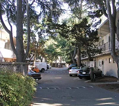 Bascom Holiday Apartments — Photo 18