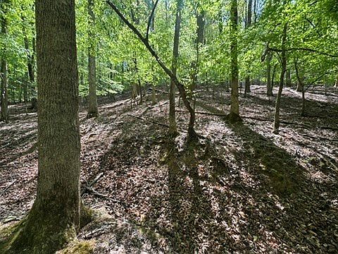 5th image of LOT 1972 Nancy Ct
