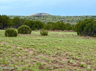 121 County Road 8051, Concho, AZ 85924