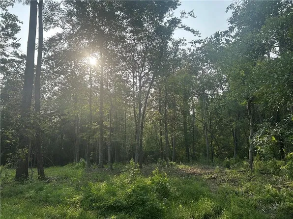 Lots 158 & 159 Bogue Falaya Dr, Covington, LA 70433