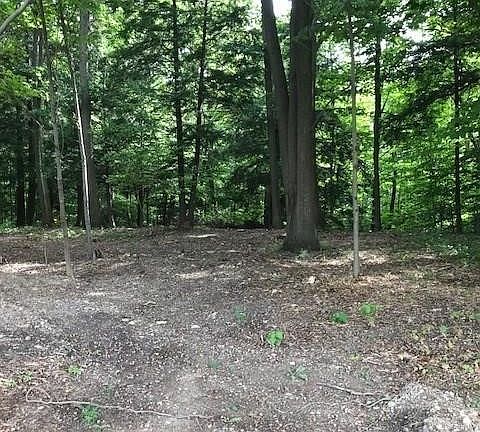 3rd image of 3594 Timothy Ln