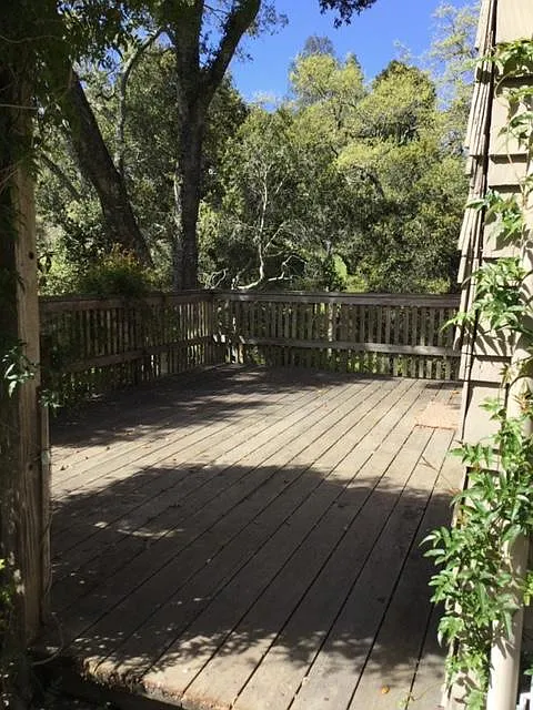 388B Albion Ave — Photo 2