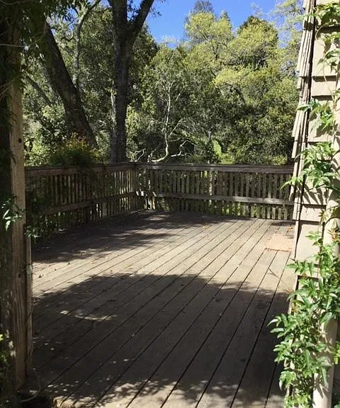 388B Albion Ave — Photo 2