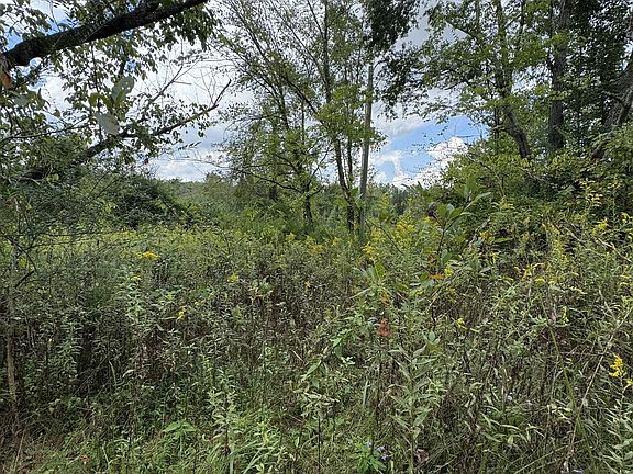 3rd image of 216 Running Meadows Rd