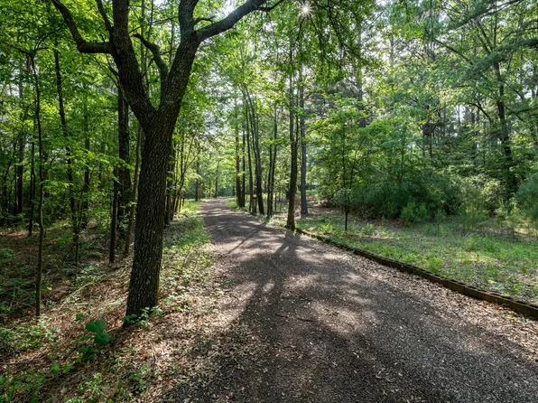 2001 Vz County Road 4903, Ben Wheeler, TX 75754
