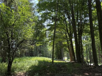 1 Bonney Hill Rd Lot 1, Hamilton, NY, 13346