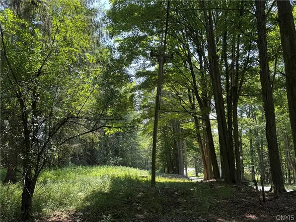1 Bonney Hill Rd Lot 1, Hamilton, NY 13346