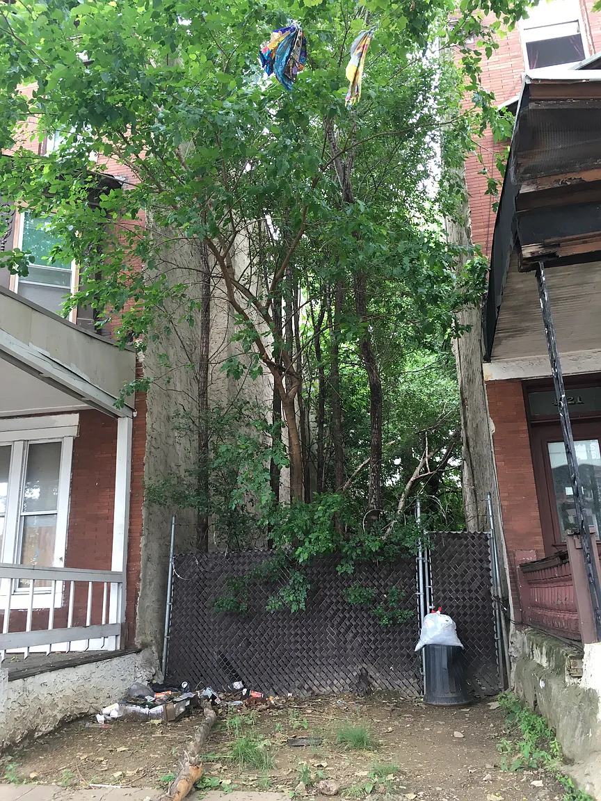 4123 N Broad St photo 1