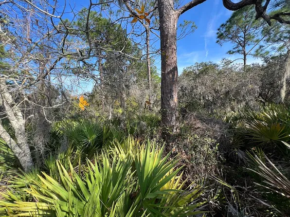 212 Vanguard Ave NW, Lake Placid, FL 33852
