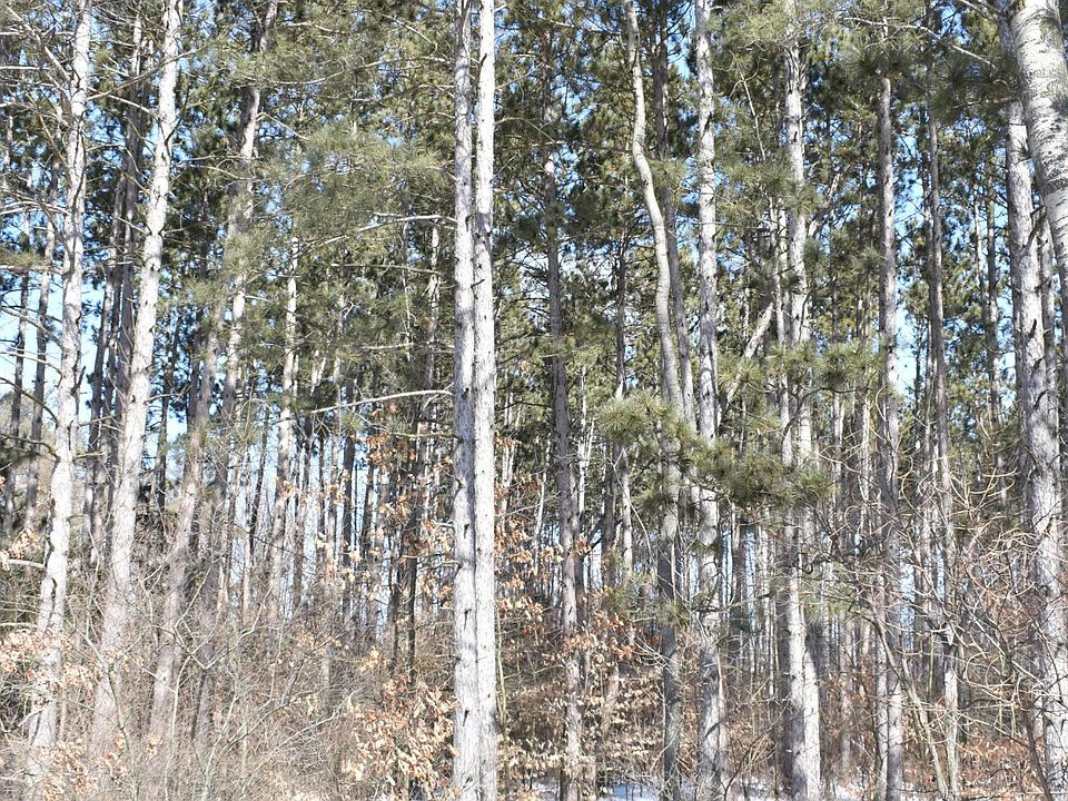 2nd image of 11853 21 Mile Rd NE