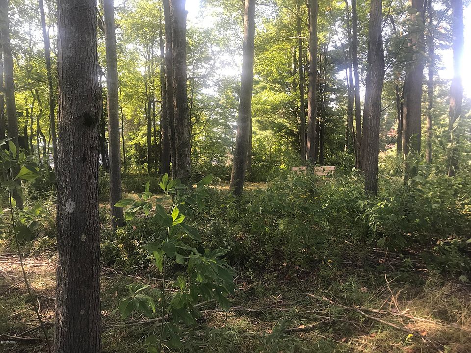 2nd image of 11291 County Road 215
