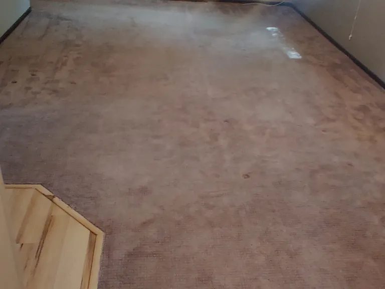 Living/dining area