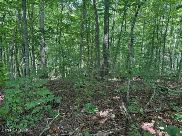 LOT 4 Hackworth Rd, Knoxville, TN 37931