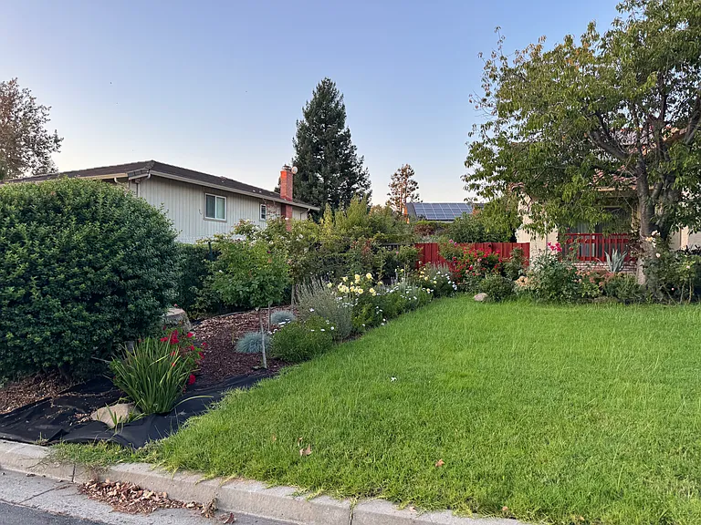 front yard