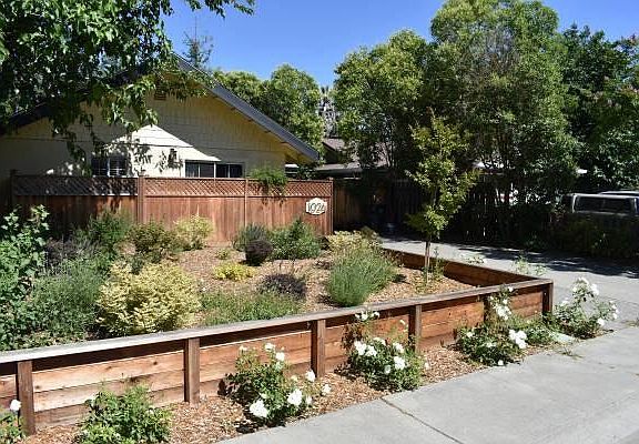 Front yard