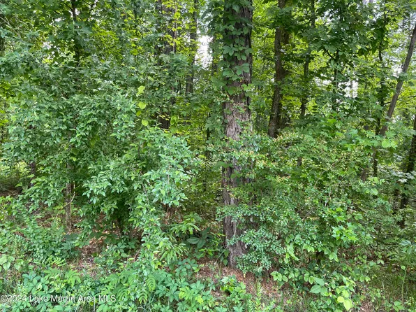 Sam St, Alexander City, AL 35010