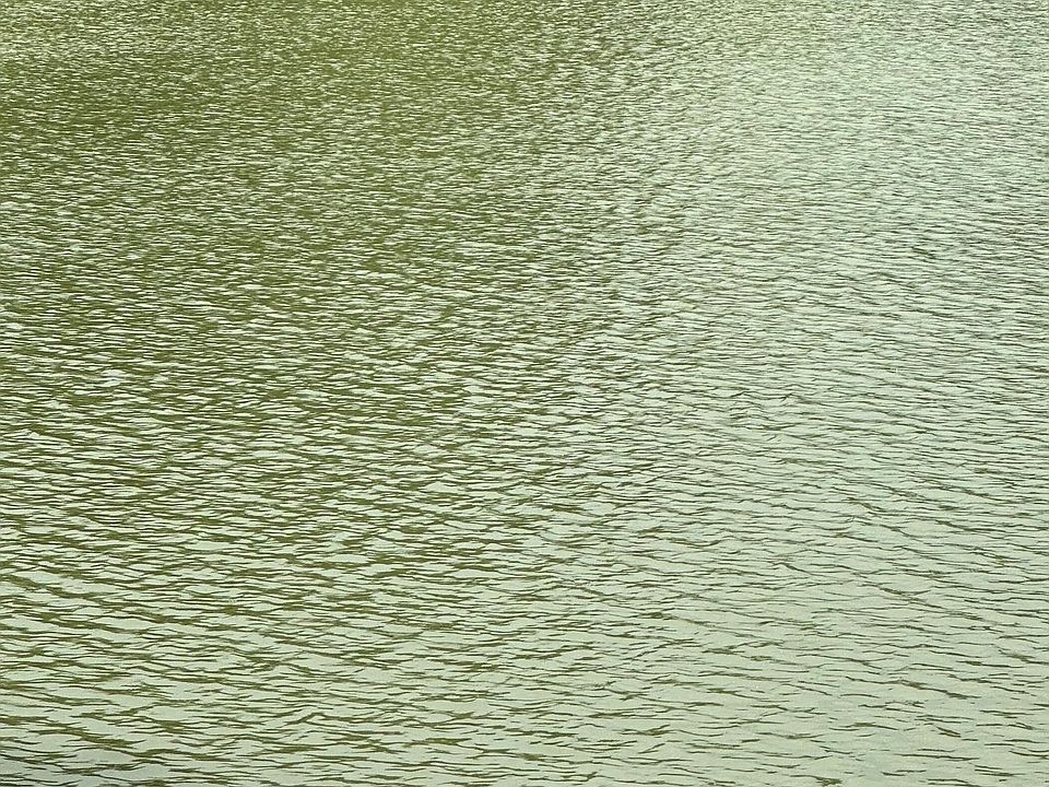 836 County Road 359, Leesburg, AL 35983 MLS 1837055 Zillow